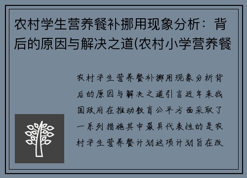 农村学生营养餐补挪用现象分析：背后的原因与解决之道(农村小学营养餐补助)