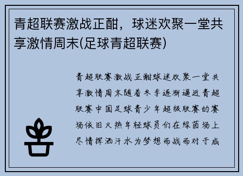 青超联赛激战正酣，球迷欢聚一堂共享激情周末(足球青超联赛)
