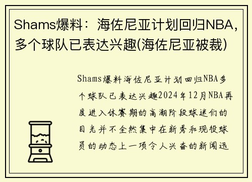 Shams爆料：海佐尼亚计划回归NBA，多个球队已表达兴趣(海佐尼亚被裁)